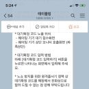 채윤희