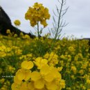 세훈농장 이미지