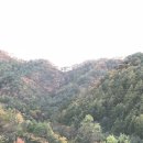 방림면사무소 이미지