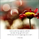 친구정 이미지
