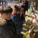 태기목장 이미지