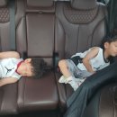 지호카센타 이미지