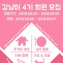 강냥이 티스토리