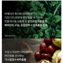 뉴앤바디 이미지