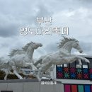 영도구-10 해양대학교 입구 | 부산 영도다리축제 후기 셔틀버스 타는 곳