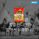 인디안밥 이미지