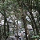 제주돈내코 - 춘천시 퇴계로77번길 19-40 | 제주돈내코