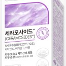 그린스토어
