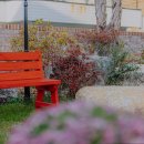 달그림고운 이미지