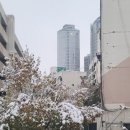 공인중개사이명동사무소 이미지