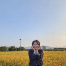 3,4여전도회 단합회(하중도에서) 이미지