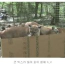 프렌즈동물병원 이미지