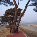윗밤숲 이미지