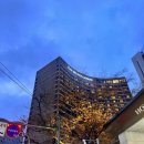 아이와호캉스 웨스틴조선서울 프리즘라이브 이그제큐티브디럭스 클럽라운지 조식 서울덕수궁미술관