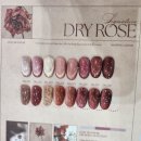 pet46다2181 | 수원 성대 네일 네일위드민 율전점 이달의 아트 만족스러운 후기