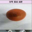 김옥순 농장 이미지