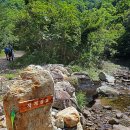 진부령미술관 이미지