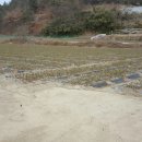 이기영공인중개사사무소 이미지