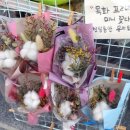 윤's플라워 이미지