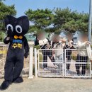 (주)더이룸 이미지