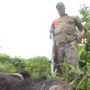 곰두마리농장 이미지