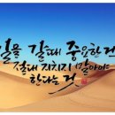 바른길 행정사사무소 이미지