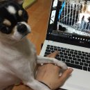 일루와농장 이미지