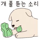 포도밭 댕댕이 펜션 이미지