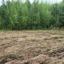 서광리-6 이미지