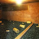 정당새미 이미지