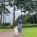 신장점 현대자동차 | 롤링힐스 부대시설 수영장, 놀거리, 산책로, 더 바 치킨