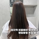 멍묭실 | [웨딩 신부관리]정자역 “비롬헤어” 웨딩촬영 염색 후기