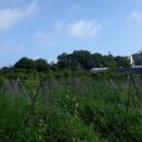 분천농장 이미지