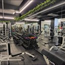 바디트랜스짐 은행점 헬스PT 이미지