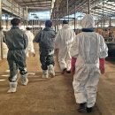 산하 한우농장 이미지