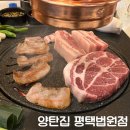 평택 법원 맛집 양탄집 평택법원점 내돈내산 솔직후기 (맛, 가격, 분위기, 위치)