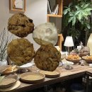 유엔로 | 부산 부경대 스콘맛집 카페 그리다 대연동 분위기 좋은카페