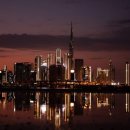 부국태양광발전소 이미지