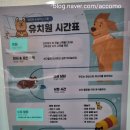 해피독 트레이닝스쿨 이미지
