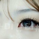 라미속눈썹