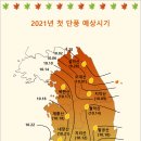 2021 단풍시기,2021단풍절정시기 이미지