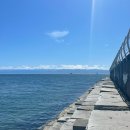 토론토 동물병원 | 캐나다 빅토리아에서 살아남기 현실편🇨🇦(응급실, 고난, 이별, 해외 생활 단점 솔직 후기)