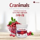 ㈜오일플라자 | [지구정복 서울고양이 매주 금요일 선물사냥 3차] 드림펫푸드 캐나다 프레쉬 주식캔 &amp; 크래니멀 요로...