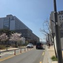 한마음후문약국 네이버블로그