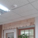 선인어린이집 이미지