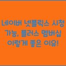 시청 이미지
