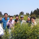 성동장애인종합복지관 이미지