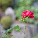 수원-0880 | 캐논 인천 서비스센터 미러리스 EOS M200 AS 후기 이미지 센서 건들지 마세요