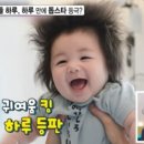 하루 이미지