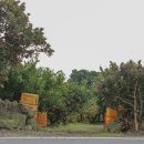 애월읍 소길리풋감마을 이미지